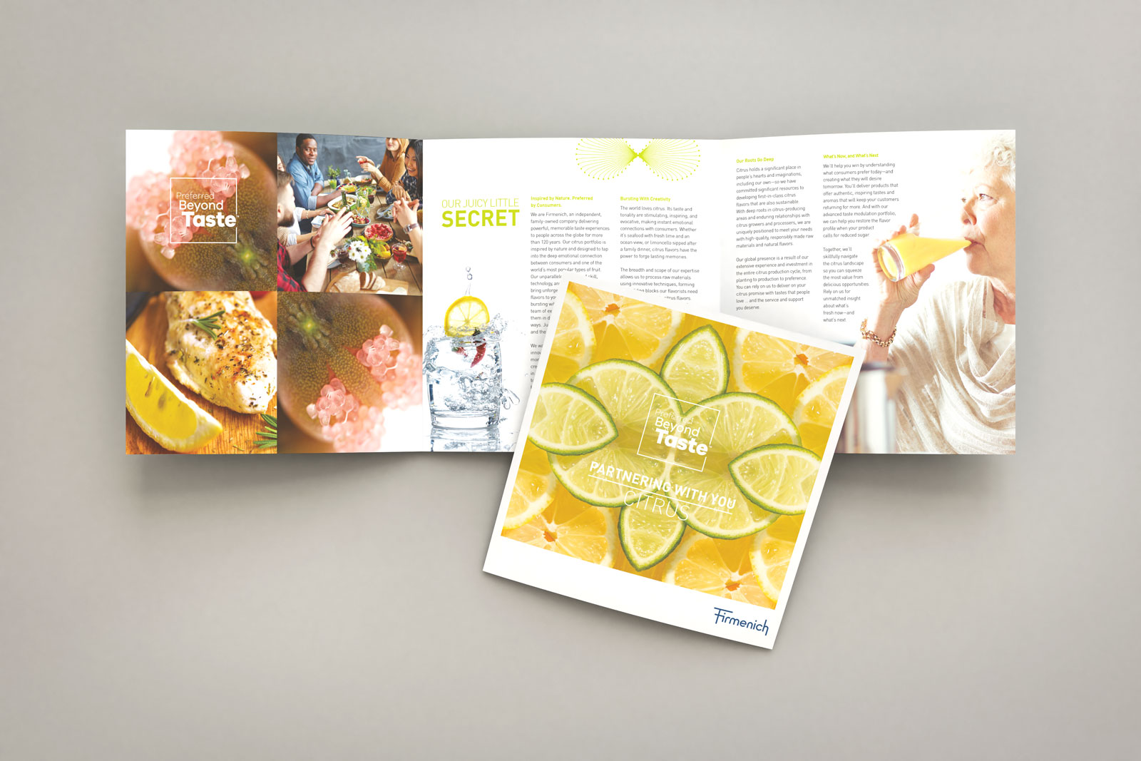 firmenich-brochure